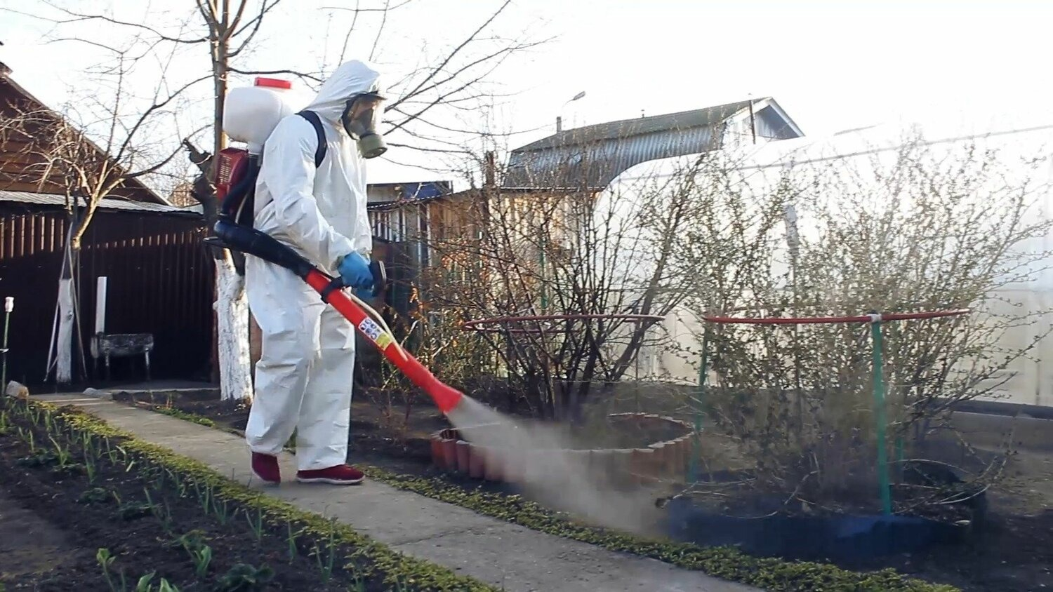 ФОТО Уничтожение муравьёв в районе станции метро Коммунарка