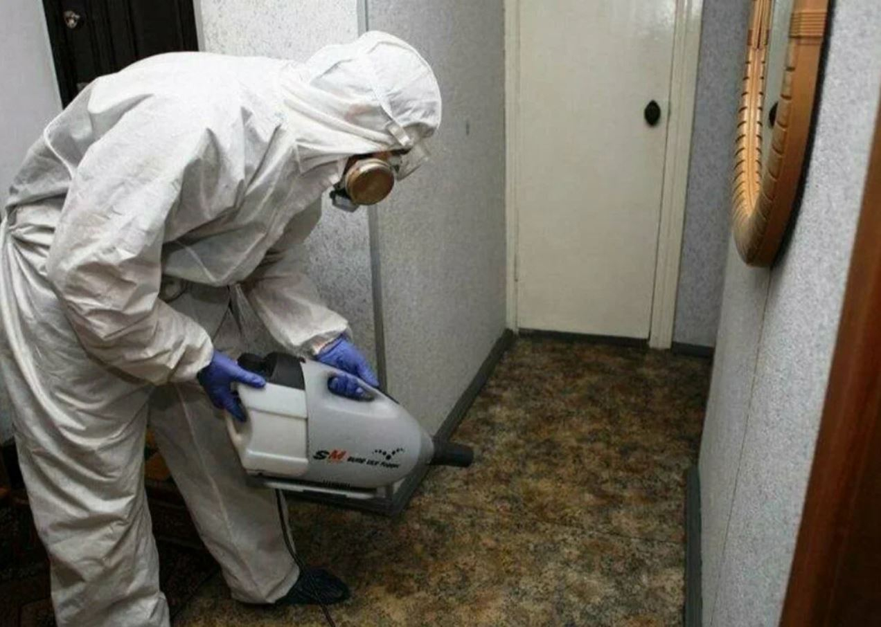 ФОТО Какие методы обработки для дезинсекции существуют в районе станции метро Коммунарка? | подробно