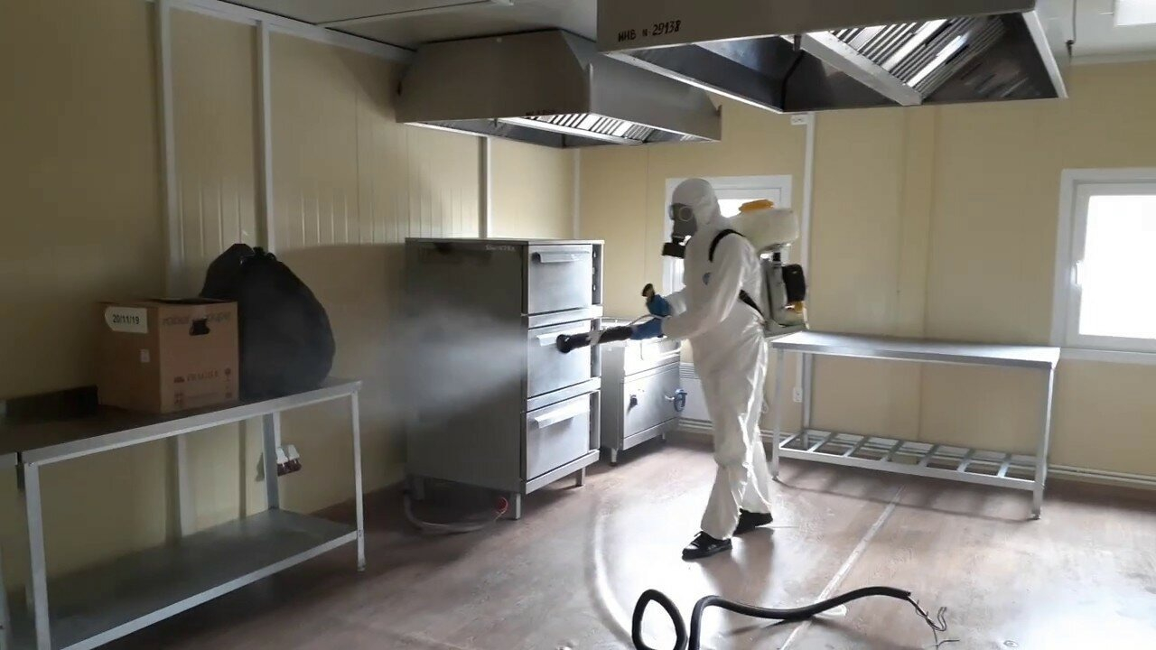 ФОТО Можно ли провести дезинсекцию самостоятельно и какие существуют риски в районе станции метро Коммунарка? | подробно