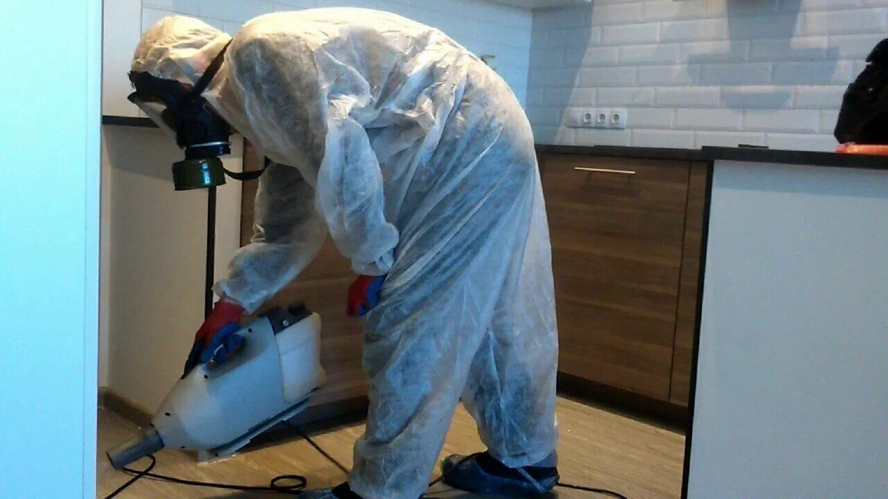 ФОТО Как подготовить домашних животных к обработке от насекомых в районе станции метро Коммунарка? | подробно