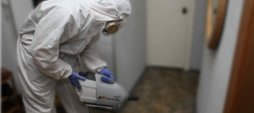 ФОТО Остаются ли следы после обработки квартиры от насекомых в районе станции метро Коммунарка? | подробно