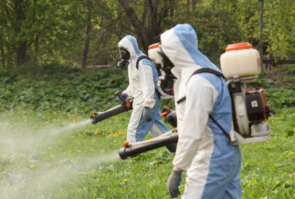 фото: Профессиональное уничтожение мух в районе станции метро Коммунарка: <br/>+7-909-173-42-96
